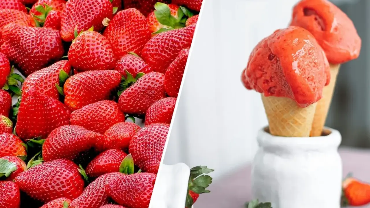 Jak zrobić sorbet truskawkowy z mrożonych truskawek? Na zdjęciu świeże truskawki i gotowy deser w wafelkach.