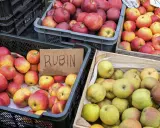 Jabłka Rubin i inne odmiany, idealne na szarlotkę, czekają w skrzynkach.