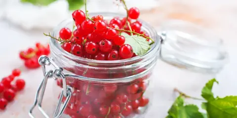 Słoik pełen soczystych czerwonych porzeczek, gotowych do mrożenia. Idealny sposób, jak mrozić czerwone porzeczki, by cieszyć się ich smakiem przez cały rok.