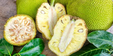 Cały i przekrojony chlebowiec (jackfruit) z widocznymi nasionami i liśćmi na drewnianym tle.