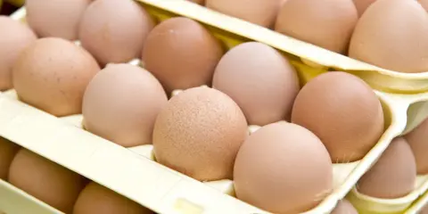 Jajka w wytłoczce. Zastanawiasz się, czy białka można mrozić? Tak, można je zamrozić, podobnie jak całe jajka.