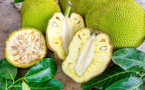 Cały i przekrojony chlebowiec (jackfruit) z widocznymi nasionami i liśćmi na drewnianym tle.