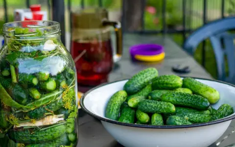 Słoik z ogórkami i miska świeżych ogórków, gotowych do przygotowania pysznych ogórków małosolnych.