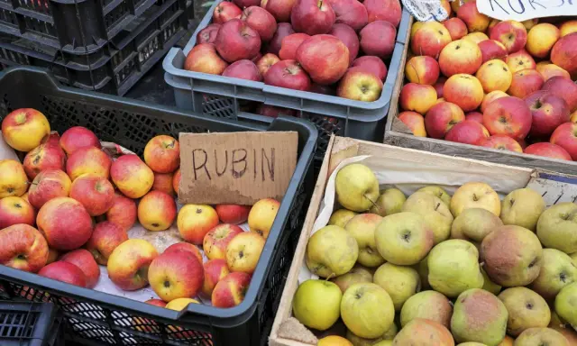 Jabłka Rubin i inne odmiany, idealne na szarlotkę, czekają w skrzynkach.