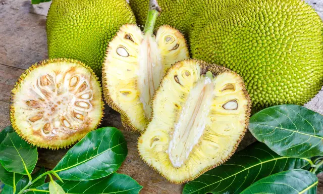 Cały i przekrojony chlebowiec (jackfruit) z widocznymi nasionami i liśćmi na drewnianym tle.