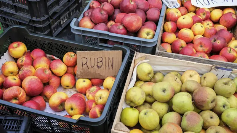 Jabłka Rubin i inne odmiany, idealne na szarlotkę, czekają w skrzynkach.